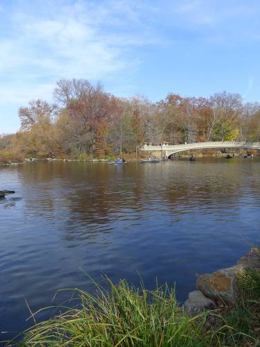 USA_2011-11-20 12-32-32